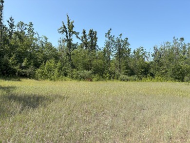 Lake Acreage For Sale in Gaylord, Michigan