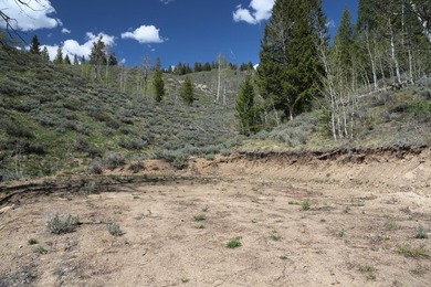 Fabulous and unique over 19 acre parcel off of Fisher Creek Road - photo 14
