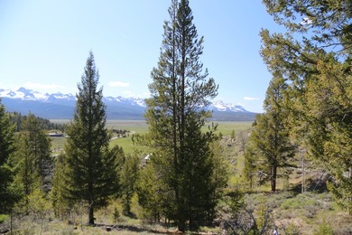 Fabulous and unique over 19 acre parcel off of Fisher Creek Road - photo 15