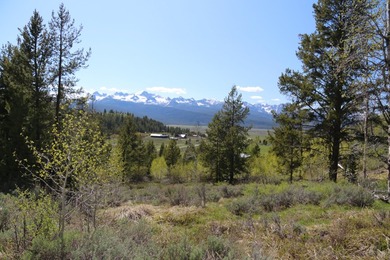 Fabulous and unique over 19 acre parcel off of Fisher Creek Road - photo 16