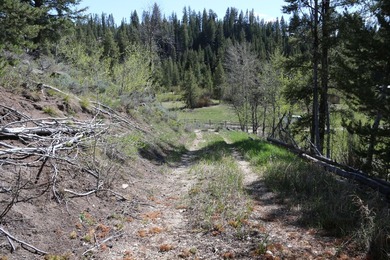Fabulous and unique over 19 acre parcel off of Fisher Creek Road - photo 17