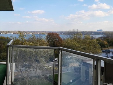 Rare Opportunity Luxury 2 Bedroom Deluxe Coop . Centrally - photo 21
