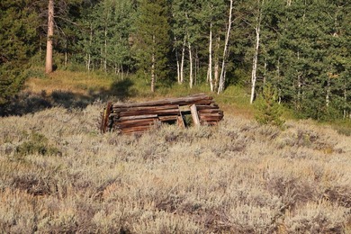 Fabulous and unique over 19 acre parcel off of Fisher Creek Road - photo 23