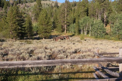 Fabulous and unique over 19 acre parcel off of Fisher Creek Road - photo 24