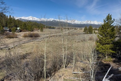 Fabulous and unique over 19 acre parcel off of Fisher Creek Road - photo 26