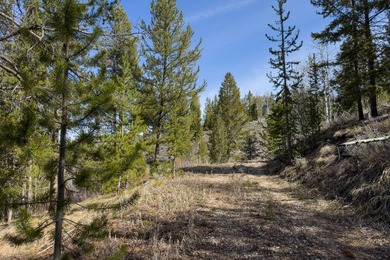 Fabulous and unique over 19 acre parcel off of Fisher Creek Road - photo 27