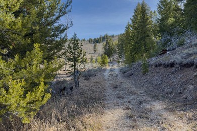 Fabulous and unique over 19 acre parcel off of Fisher Creek Road - photo 28