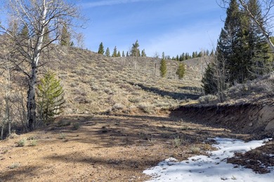 Fabulous and unique over 19 acre parcel off of Fisher Creek Road - photo 30