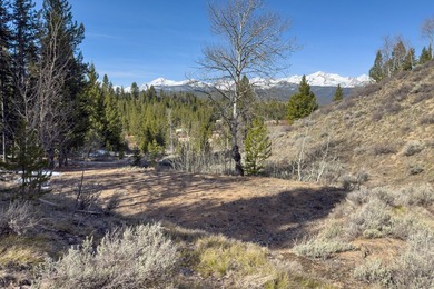 Fabulous and unique over 19 acre parcel off of Fisher Creek Road - photo 32