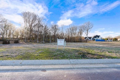 Welcome to DeSoto County, Mississippi's newest luxury - photo 3