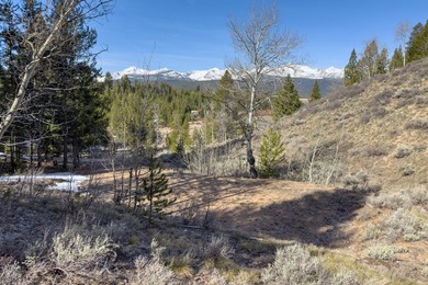Fabulous and unique over 19 acre parcel off of Fisher Creek Road - photo 33