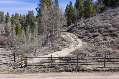 Fabulous and unique over 19 acre parcel off of Fisher Creek Road - photo 36