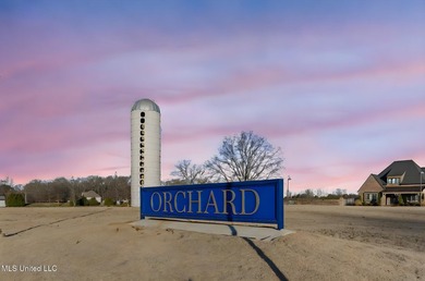 Welcome to DeSoto County, Mississippi's newest luxury - photo 10