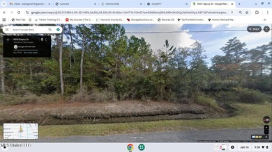 Wooded Waterfront Lot with Gulf Access - Quiet Coastal Setting - photo 1
