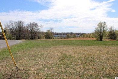Discover a prime location within the city limits of Kuttawa, KY! - photo 3