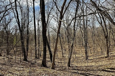 Muskrat Lake Lot For Sale in Chetek Wisconsin