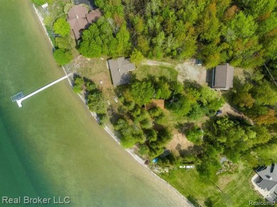 Burt Lake Homes for Sale Real Estate Lakefront Property MI