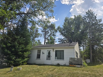 Mack Lake Home For Sale in Mio Michigan