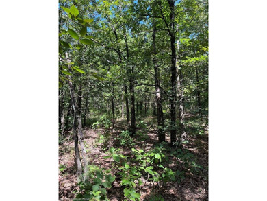 Kiamichi River Acreage For Sale in Whitesboro Oklahoma