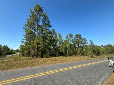 Bonable Lake Lot For Sale in Dunnellon Florida