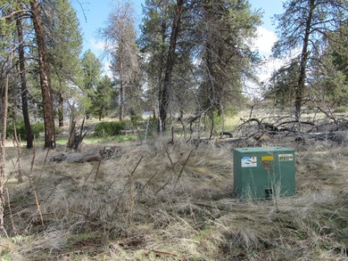 Pine Ridge Ranches gated community along the famous Williamson - photo 11