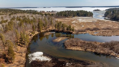It doesn't get better than this! Nature calls in this newly - photo 21
