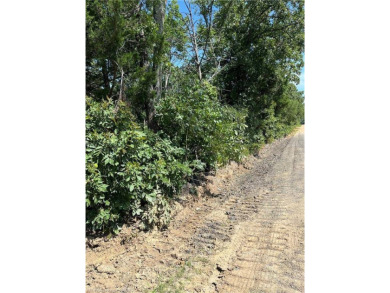 Lake Lot For Sale in Whitesboro, Oklahoma