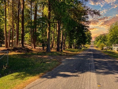 Lake Murray Lot For Sale in Prosperity South Carolina