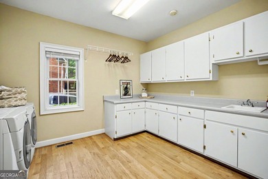 Beautiful, updated Cape Cod on Finished Basement in Lake Redwine - photo 20
