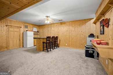 Beautiful, updated Cape Cod on Finished Basement in Lake Redwine - photo 31