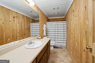 Beautiful, updated Cape Cod on Finished Basement in Lake Redwine - photo 37