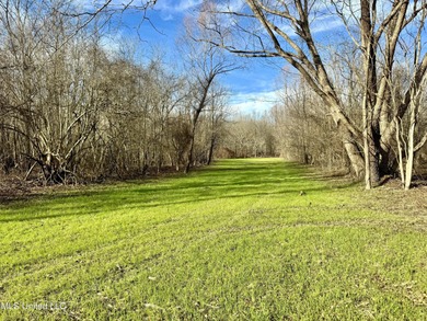 (private lake, pond, coastal) Acreage For Sale in Rolling Fork Mississippi