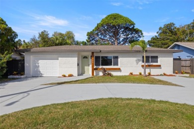 (private lake, pond, creek) Home Sale Pending in St. Petersburg Florida