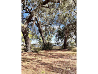 Blackwater River Lot For Sale in Milton Florida