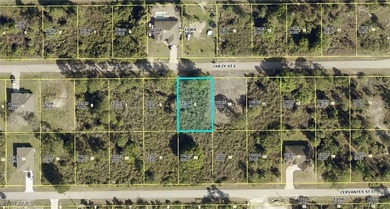 Lehigh Acres Area Lot For Sale in Lehigh Acres Florida