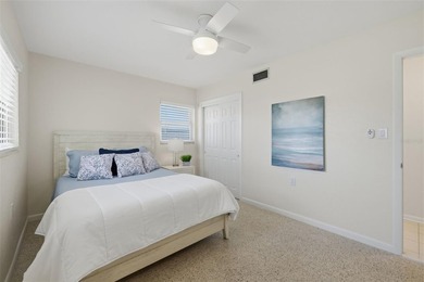 PRIME BELLE VISTA LOCATION - ST PETE BEACH WATERFRONT HOME AND - photo 33