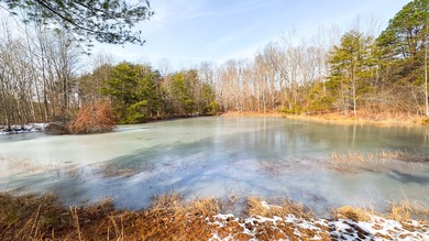 (private lake, pond, creek) Acreage For Sale in Ray Ohio
