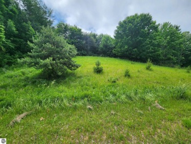 Lake Lot For Sale in Beulah, Michigan