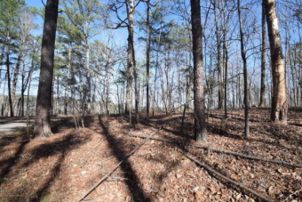 Off Shore Wooded Lot Very Convenient To I-65! - Lake Lot For Sale in Bremen, Alabama