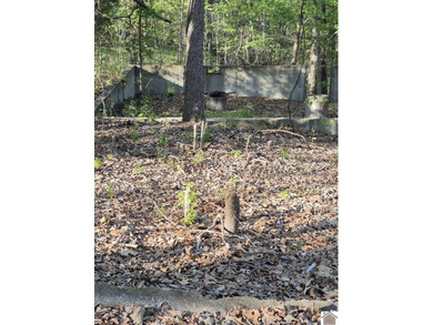 SAVE TIME & MONEY on Your Dream Lake House! Skip the months of - photo 2