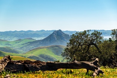 Set just 3.5 miles from the Pacific Ocean near Morro Bay, CA - photo 3
