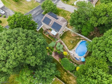 Welcome home to this beautifully maintained 4-bedroom bi-level - photo 3