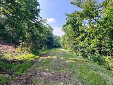 Lac Marseilles Acreage For Sale in Bonne Terre Missouri