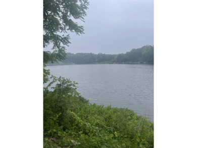 Killarney Lake Lot For Sale in Onsted Michigan