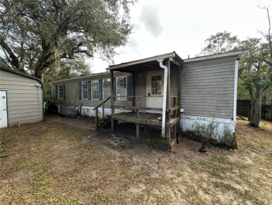 Lake Home For Sale in Palatka, Florida
