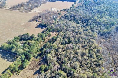 Outstanding prime piece of property for future development! Over - photo 12