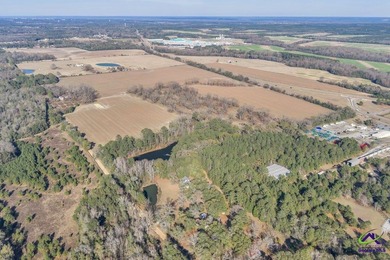 Outstanding prime piece of property for future development! Over - photo 17
