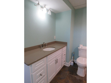 Beautifully remodeled 1 1/2 story home situated on 50 feet of - photo 23