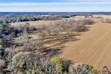Outstanding prime piece of property for future development! Over - photo 29