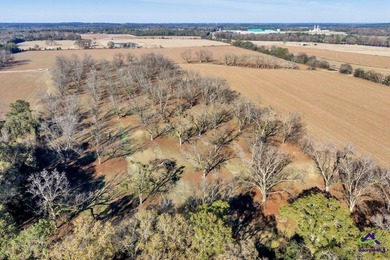 Outstanding prime piece of property for future development! Over - photo 31